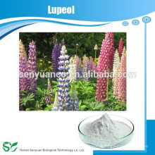 Factory Direct Supply Antikrebs 100% natürliche Lupine Extrakt Lupeol